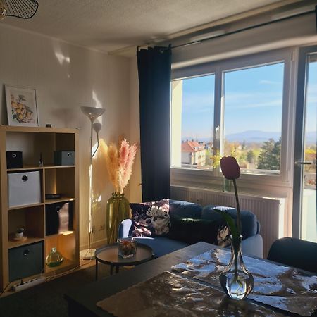 Studio Kaan Avec Terasse 5Mn Basel Airport Saint-Louis  Extérieur photo