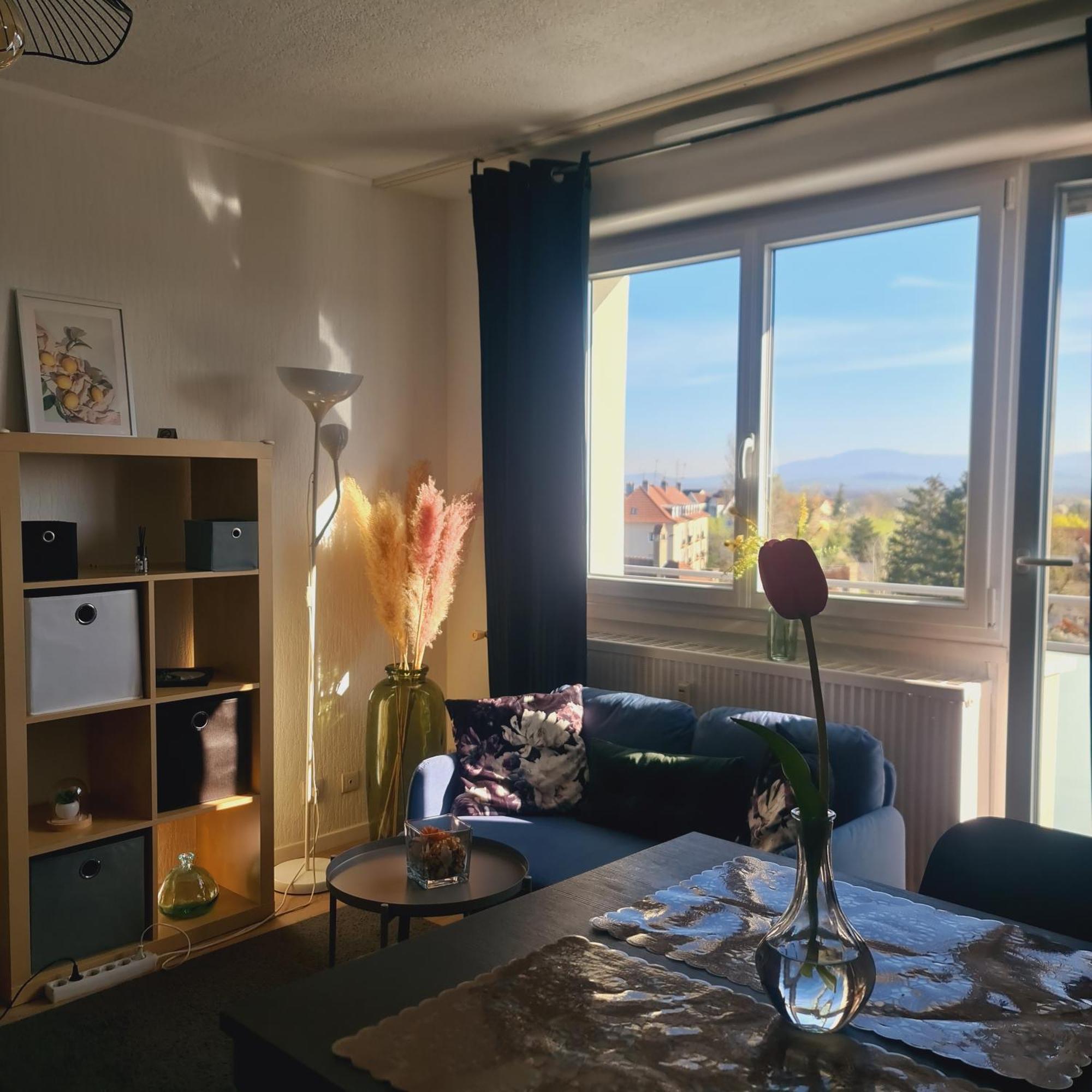 Studio Kaan Avec Terasse 5Mn Basel Airport Saint-Louis  Extérieur photo